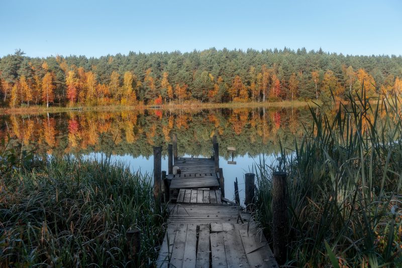 ********photo preview