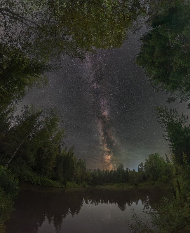 сибирь, тайга, млечный путь, астрофото, астрофотография, красноярский край, milky way, siberia, astrophotography, night, stars Таежный сюрреализмphoto preview