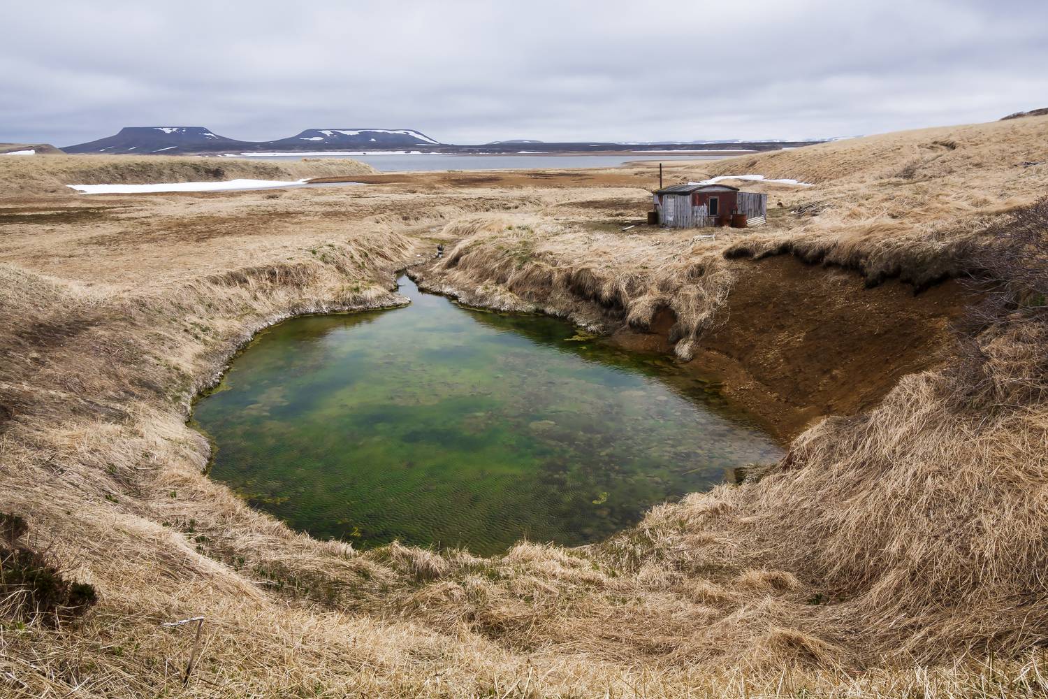Аквариум. Автор: Дмитрий Уткин аквариум, нерестилище, озеро, долина, хижина, столовые сопки, остров беринга, Дмитрий Уткин