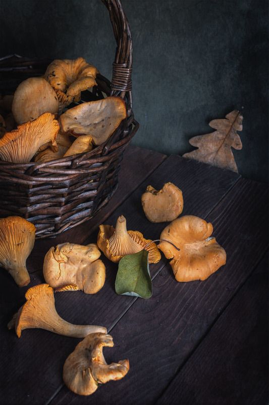 Грибная зарисовкаphoto preview