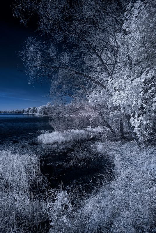 Настроение осень фото превью