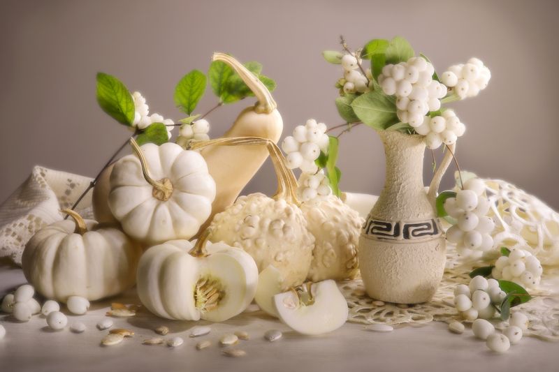 урожай, тыква, снежноягодник Тыквыphoto preview