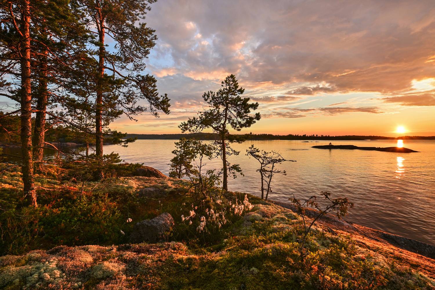 Автор: Лесина Елена , Лесина Елена