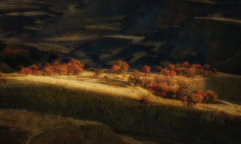 дагестан осень свет пейзаж деревья Солнечный лучphoto preview