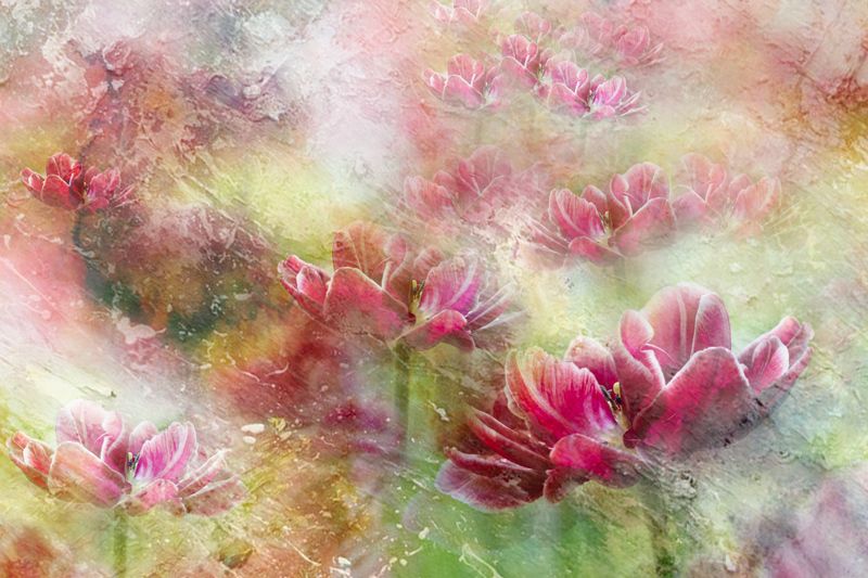 Red фото превью