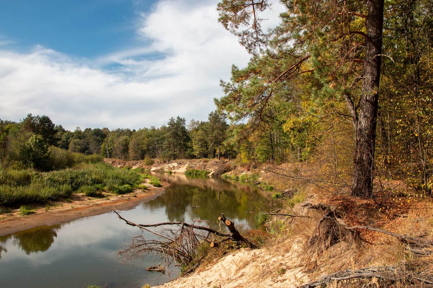 Песчаный берег. Автор: Александр , Александр