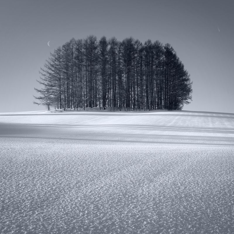 Minimalist winter landscapes of Hokkaidophoto preview