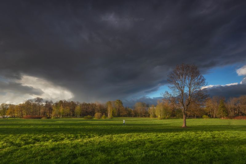 царское село, царское, landscape, tsarskoyeselo,  пейзаж, нижний, отдельный парк , нижний парк, спб,  tsarskoye selo Отдельный парк - смена погодыphoto preview