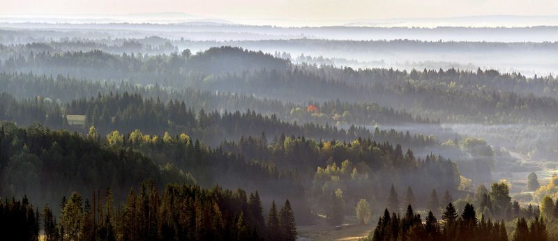 Дали фото превью