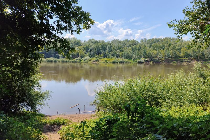 Тополиный пух Урал июль..photo preview