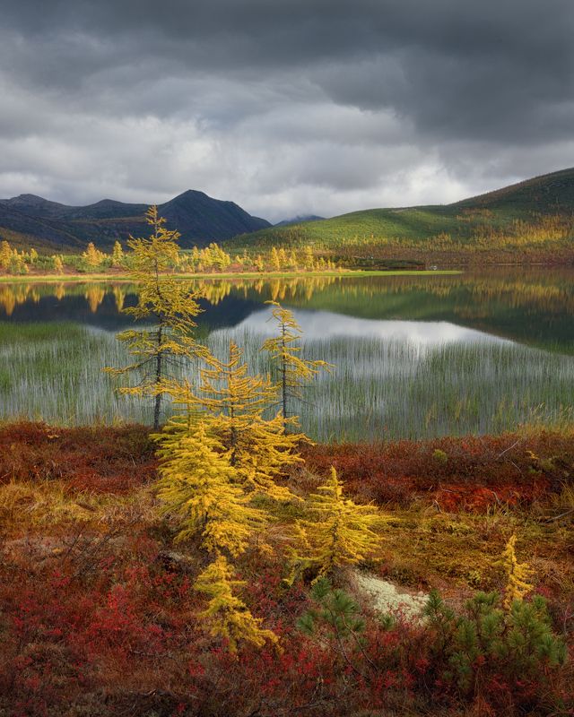 Переменная облачность на Джекеphoto preview