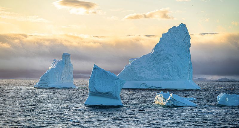 Expedition tour to Antarcticaphoto preview