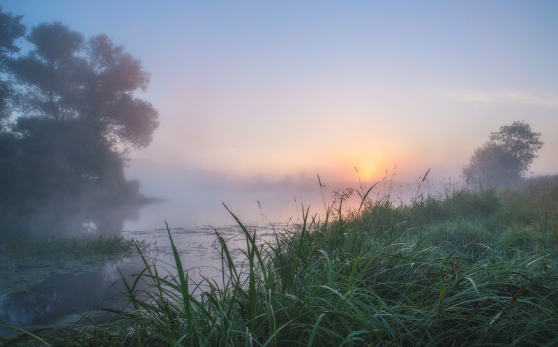 утро,река,туман,солнце,свет,отражение светаетphoto preview