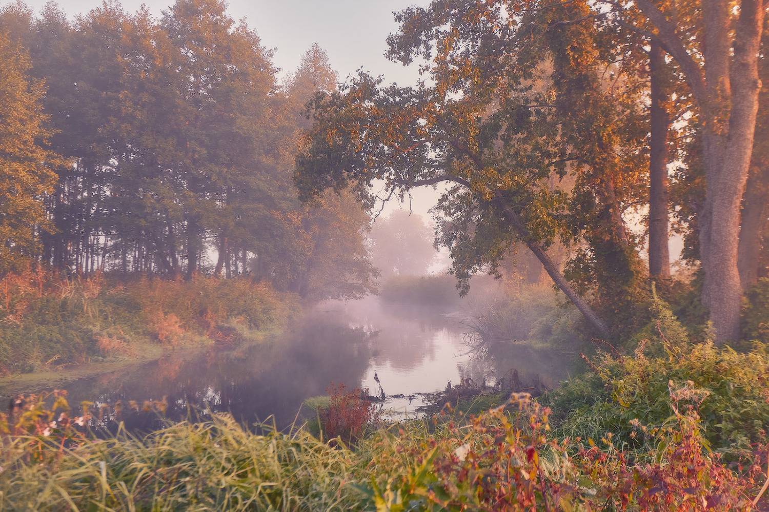 Тихое утро сентября. Автор: Вейзе Максим беларусь, осень, рассвет, река, сентябрь, туман, уса, утро, Вейзе Максим