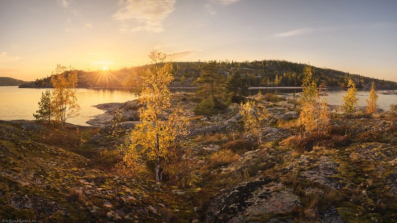 ладога, ладожские шхеры, карелия, сортавала, северное приладожье, скалистые острова, сосны, сельги, редколесье, сортавала, природа карелии \