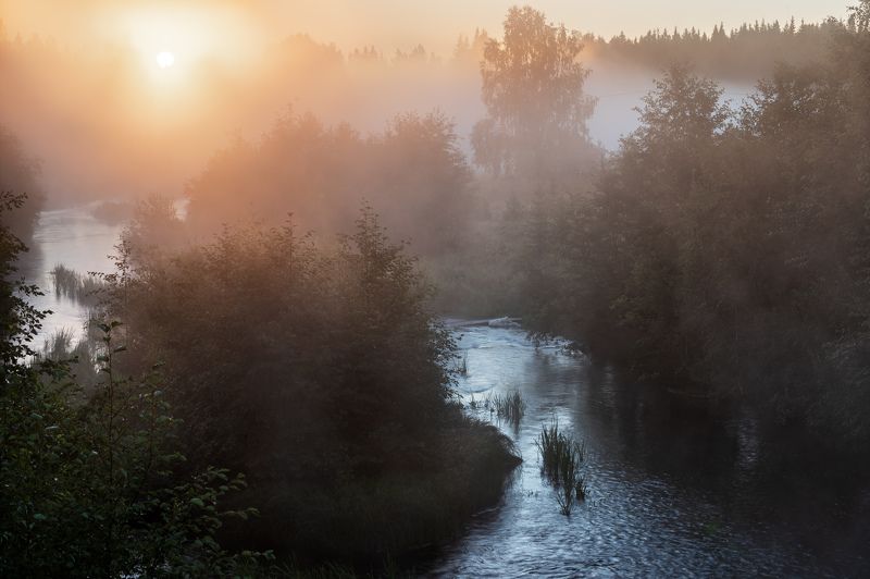 туман, восход, река, контровый свет Восход через туманphoto preview