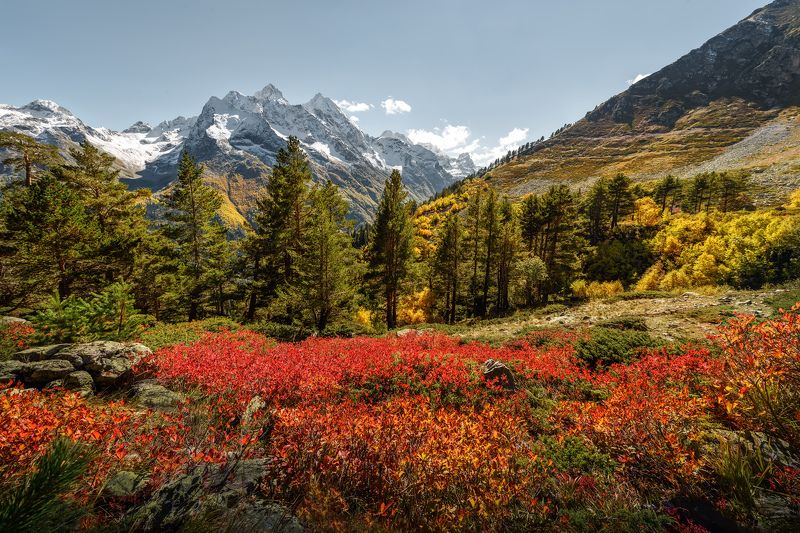 кавказ, горы, осень, карачаево-черкесия, горный пейзаж, осенний пейзаж,  осень в горах Горные ковры Карачаево-Черкесии фото превью
