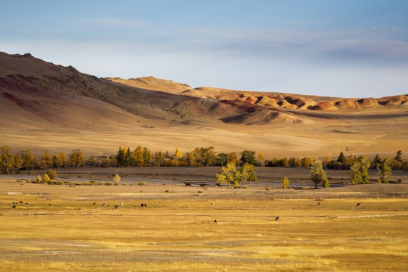 осень, пейзаж, горный алтай, Есть жизнь на Марсе...photo preview