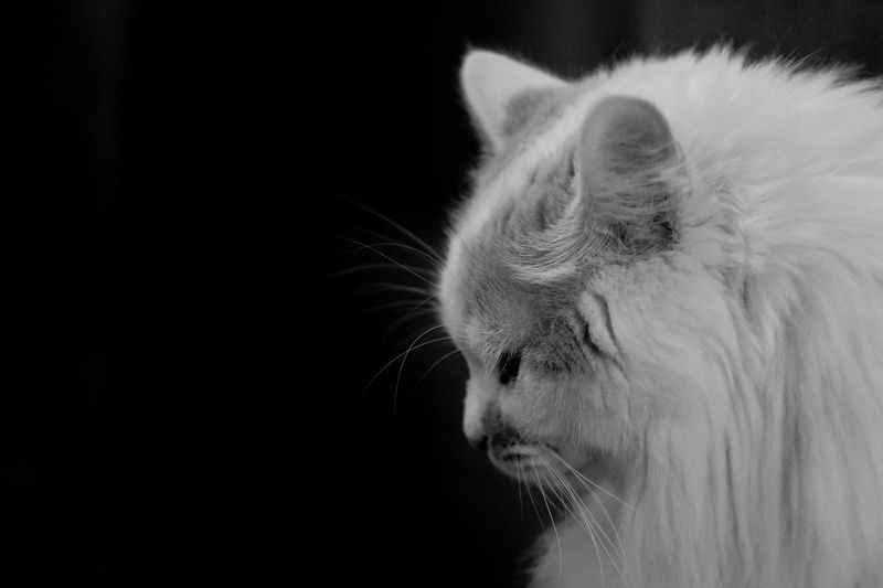 Мое сердечко. Марсельphoto preview