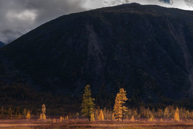 озероджекалондона, колыма, магадан Контрасты Колымыphoto preview