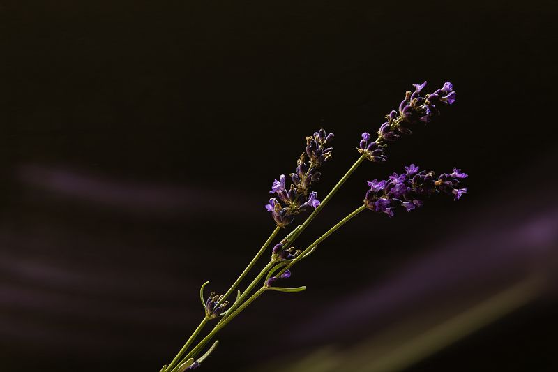 Осенние зарисовки, 2photo preview