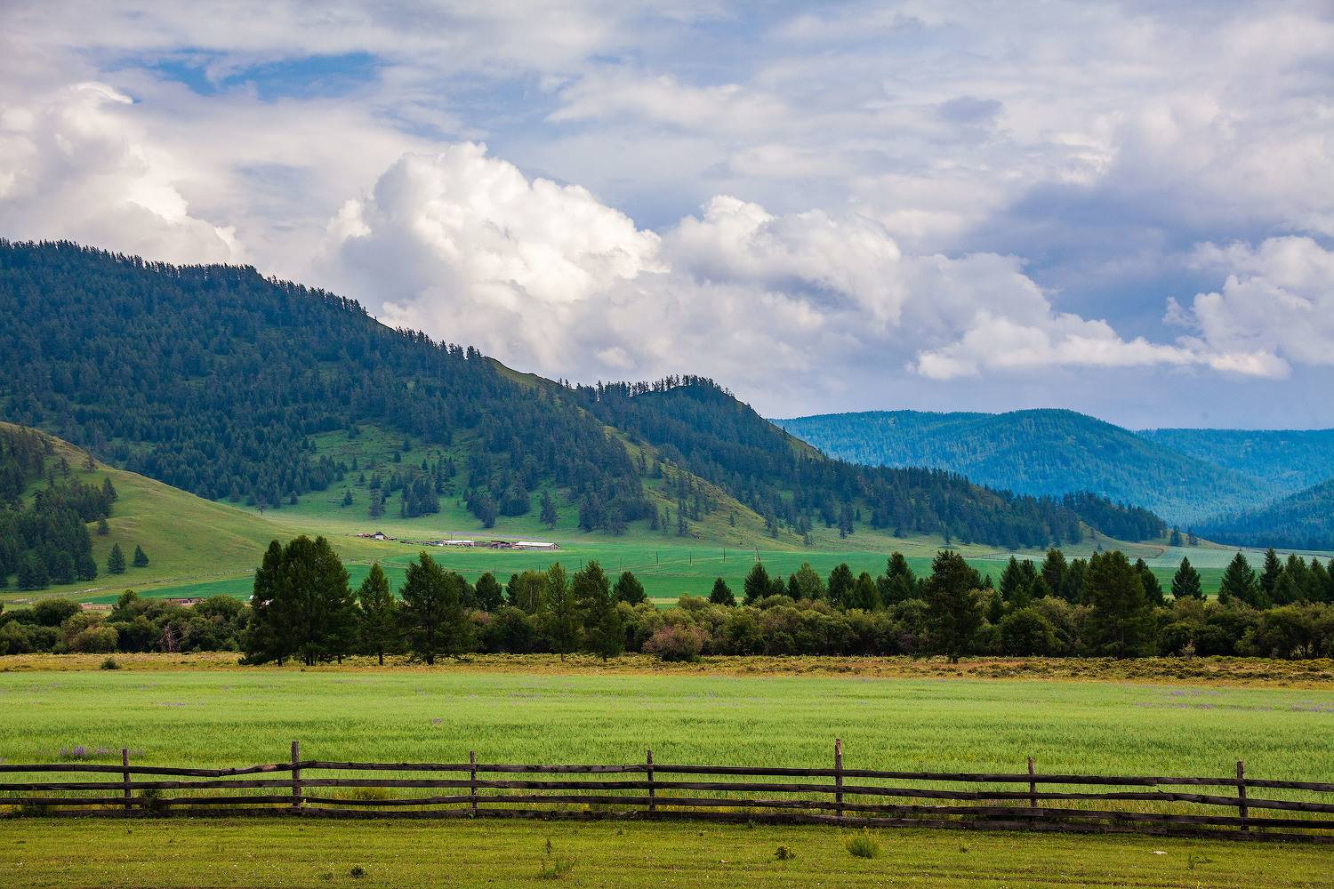 Алтайский простор. Автор: Totoro , Totoro
