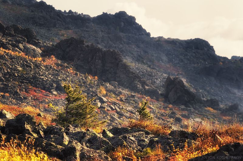 Северный Урал, сентябрь 2024г фото превью