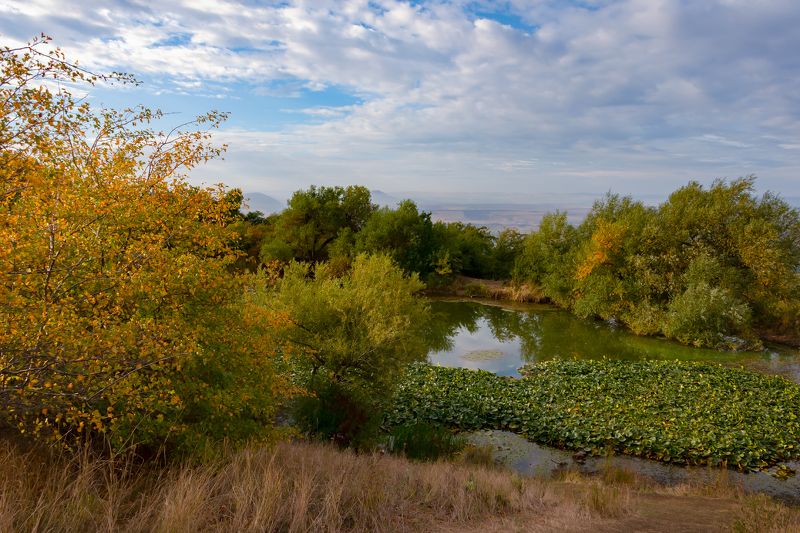 бештау,пейзаж,гора,кмв,озеро Утро на маленьком горном озереphoto preview