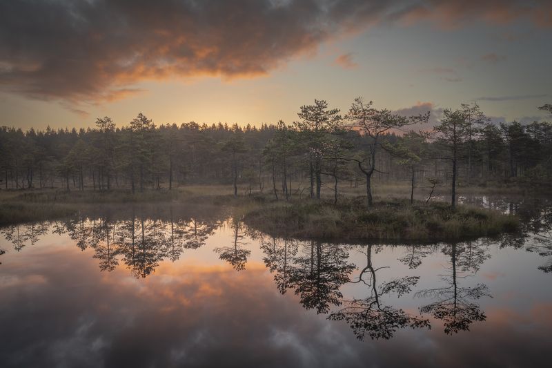 болота ленинградской области, рассвет, пейзаж Отражениеphoto preview