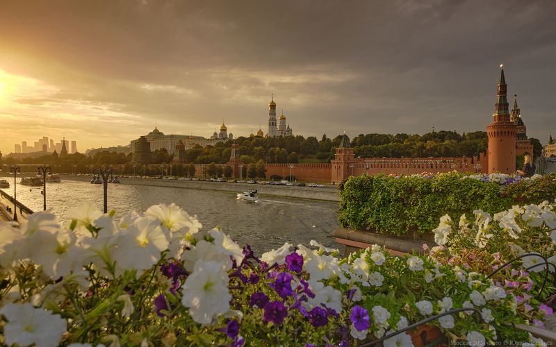 Москва, вечер, цветы, Кремль, закат, река Москва, вечер, цветы, Кремль.photo preview