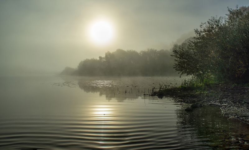 Утро.photo preview