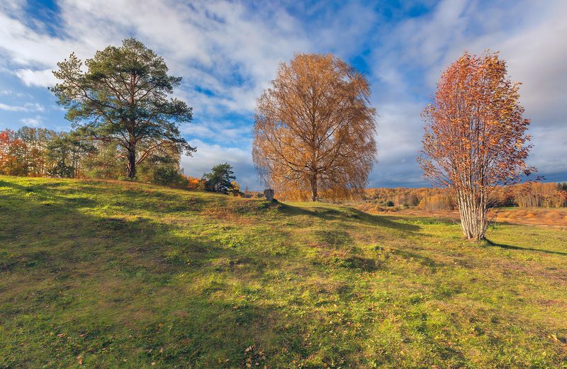 осеннееphoto preview