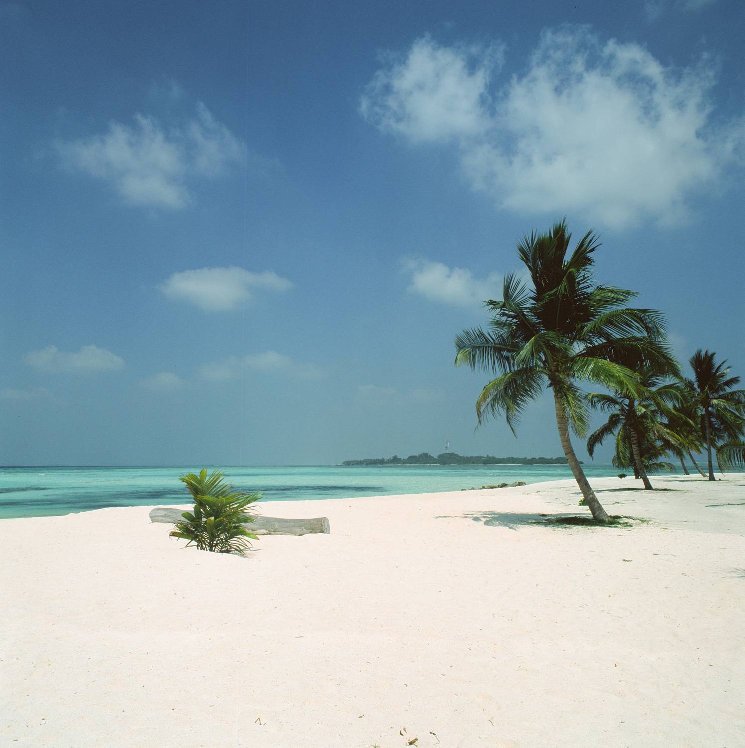 Автор: Попов Алексей bronica sq-a, bronica, sq-a, zenzabronica, film, плёнка, medium format, m-format, middle, 120 film, 6x6, 120mm, средний формат, Fujifilm, Fujichrome, Velvia, Velvia 100, Fujichrome Velvia 100, Fujifilm Velvia 100, Fuji Velvia 100, Fujifilm Fujichrome Velv, Попов Алексей