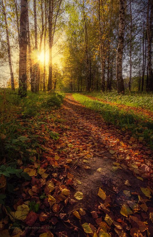 пейзаж, осень, костромская область, вечер Сентябрьphoto preview