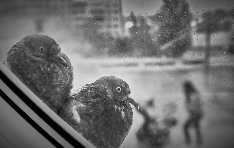 Осень.photo preview