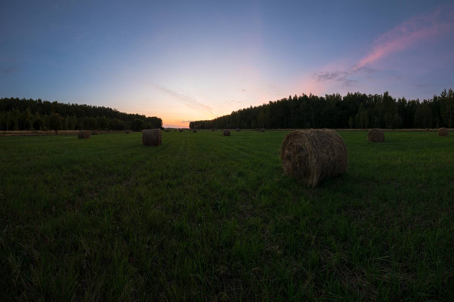 Автор: Vitaly Streltsov , Vitaly Streltsov