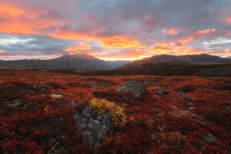 камчатка Камчатке в огне без вулкановphoto preview