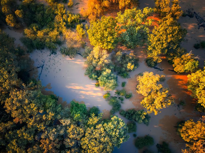 #flood #nature #2024 #goldenhour #photographgy Nature\'s riot of colorsphoto preview