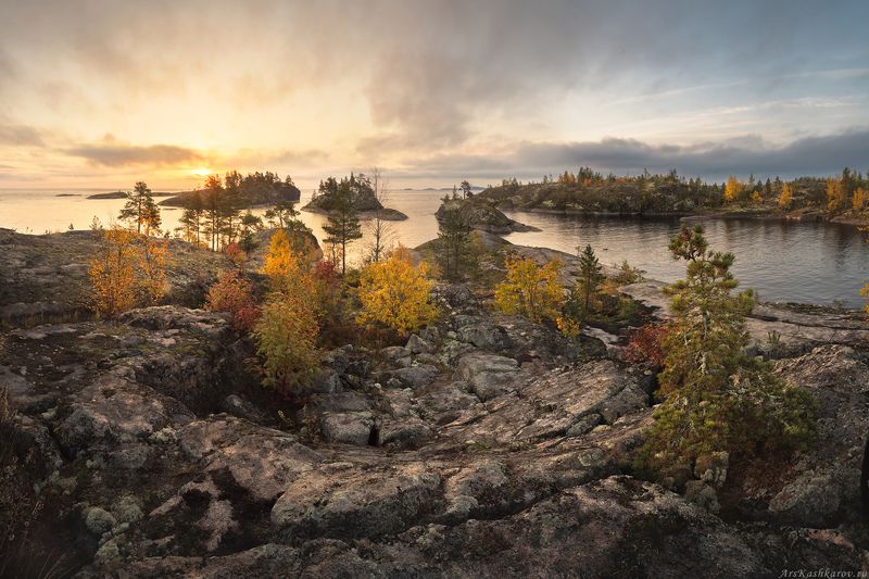 ладога, ладожские шхеры, карелия, сортавала, северное приладожье, скалистые острова, сосны, сельги, редколесье, золотая осень, природа карелии \