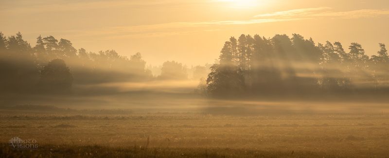 sunrise,fog,foggy,landscape,panorama,panoramic,woodland,forest,sunlight, Misty sunrisephoto preview