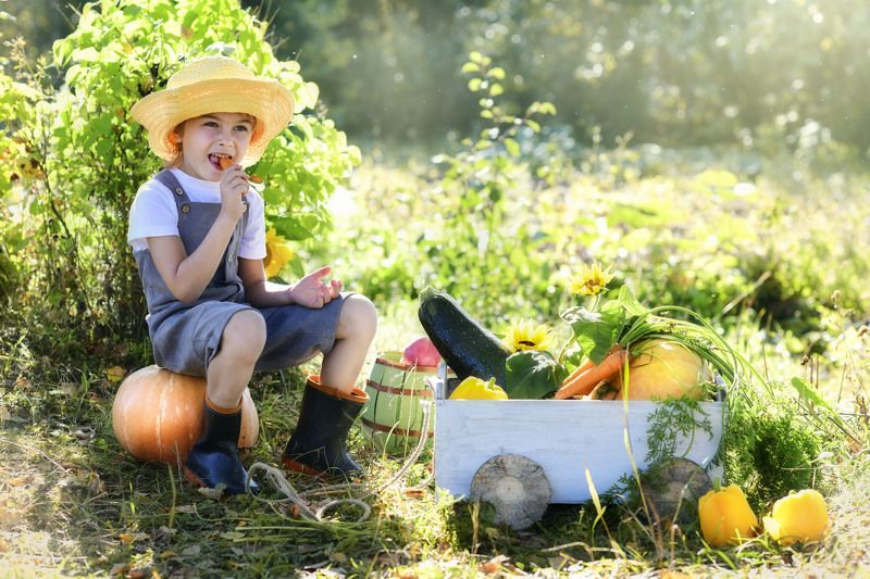 Перекус)photo preview