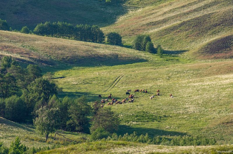 оренбургская область, природа, кувандыкский район ***photo preview