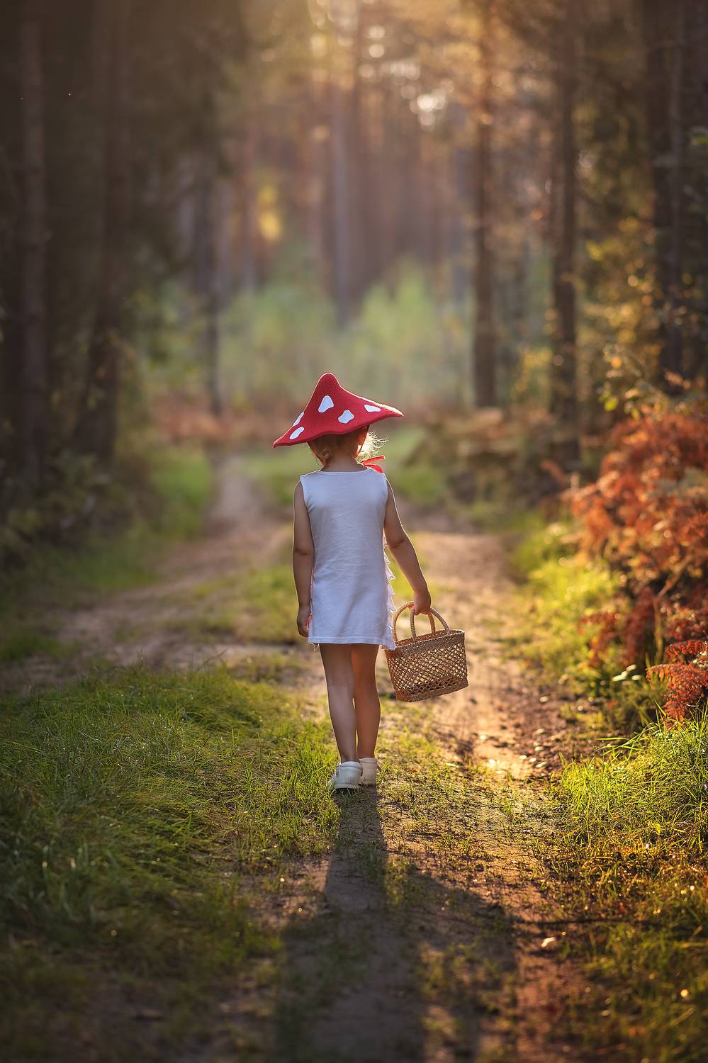 Автор: Julija Novikova , Julija Novikova