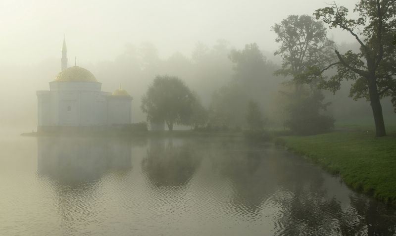 Foggy morningphoto preview