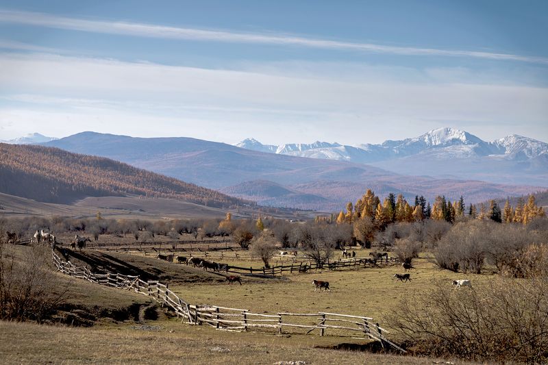 Вау.....!!! Какая природа... фото превью