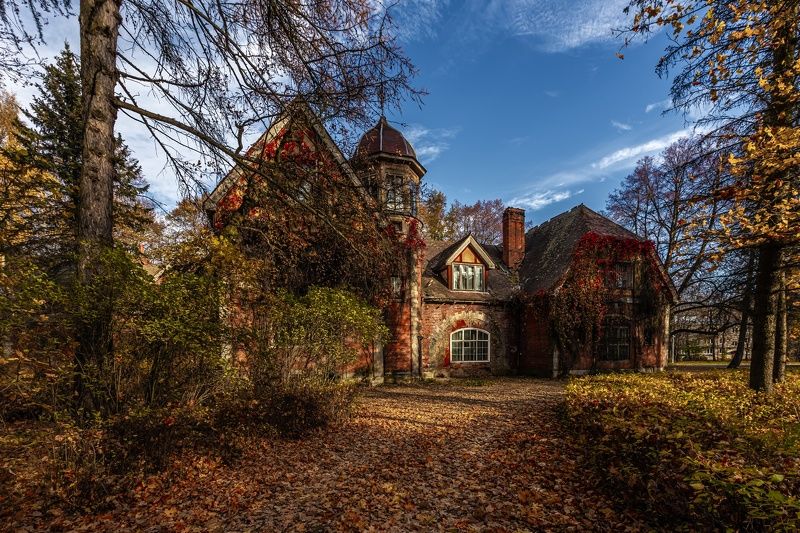 питер,пушкин,царское село,осень,путешествие,архитектура,autumn,goldautumn,tsarskoyeselo,городской пейзаж Осенняя историяphoto preview