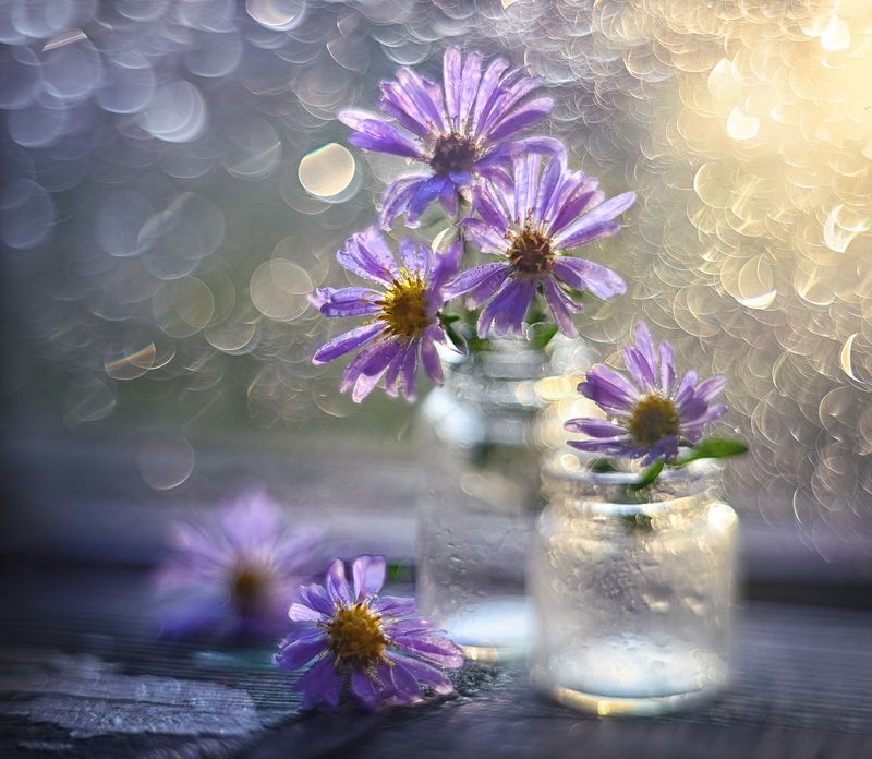 Splashes of lightphoto preview