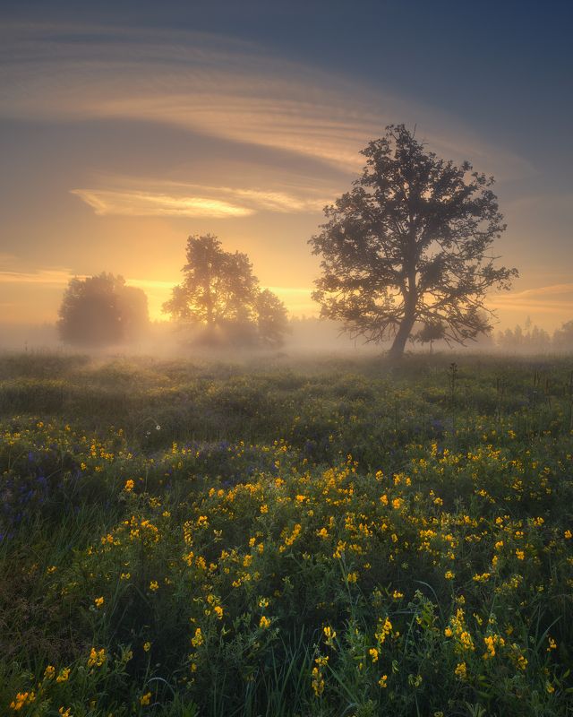 at sunrisephoto preview