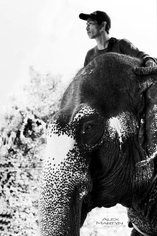 Вместе.photo preview