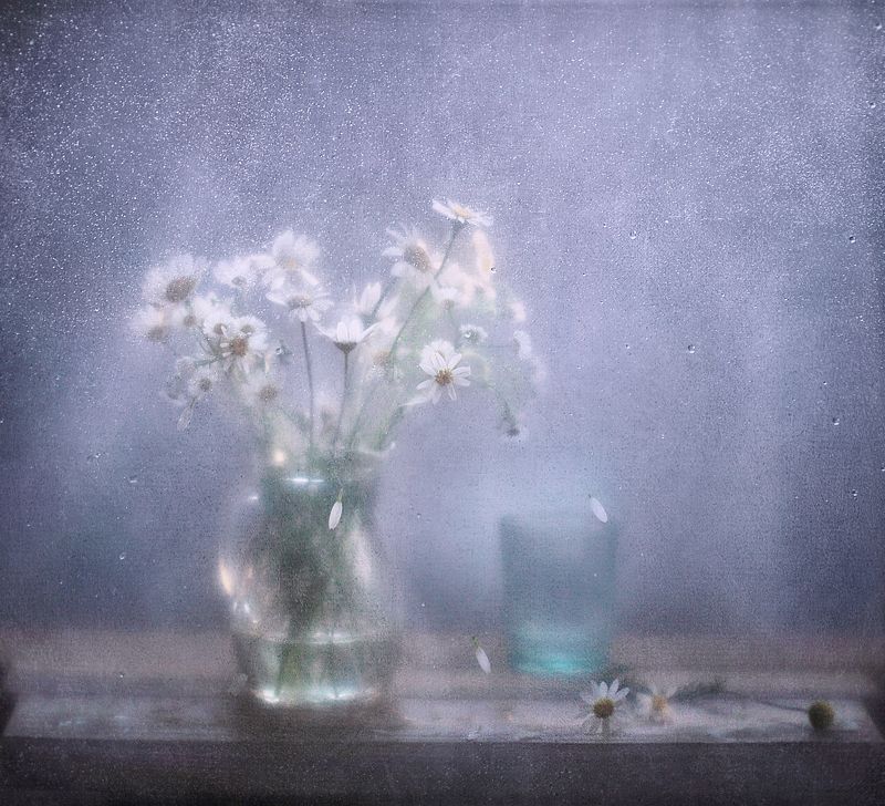 Холодноphoto preview